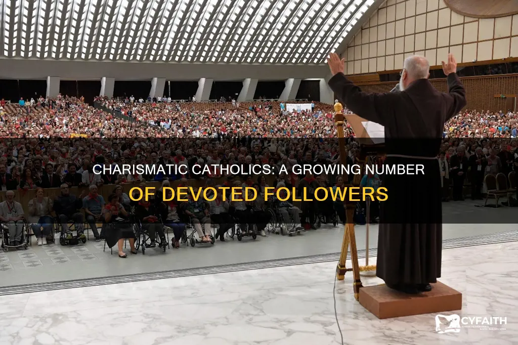 how many charamatic catholics are they