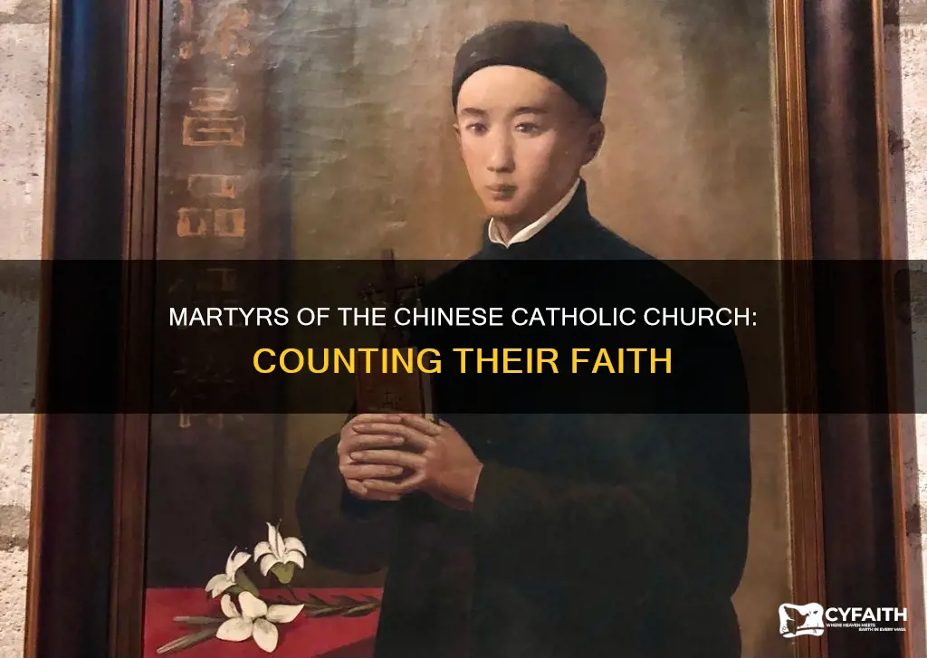 how many chinese catholics are martyrs