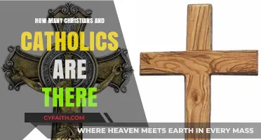 Christians and Catholics: A Global Comparison