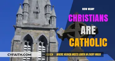 Exploring the Catholic Faith: How Many Christians Identify as Catholic?