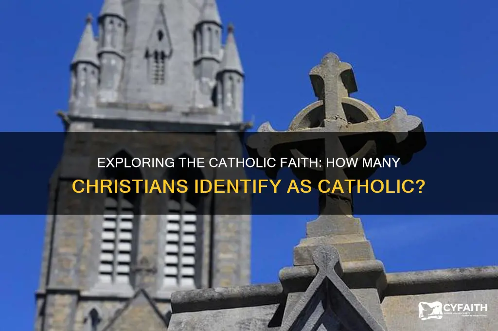 how many christians are catholic