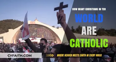 Christians Worldwide: How Many Are Catholic?