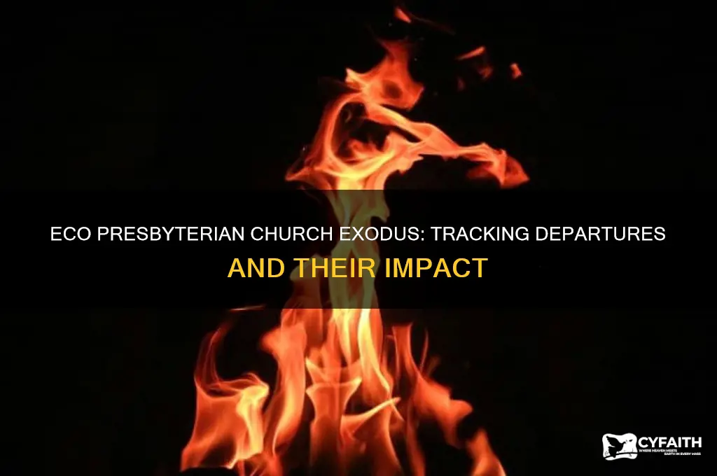 how many churches have left the eco presbyterian church
