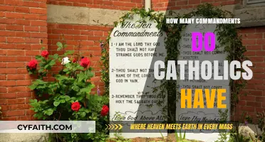 Catholics' Commandments: A Guide to Their Sacred Rules