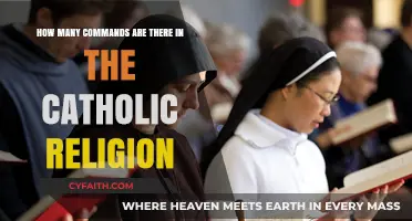 Exploring the Vast Array of Catholic Religious Commands and Practices