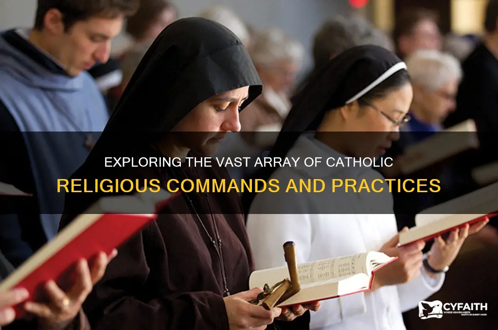 how many commands are there in the catholic religion