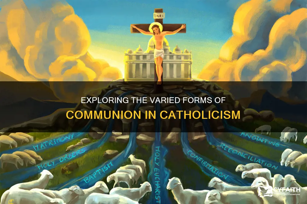 how many communions are there in the catholic religion
