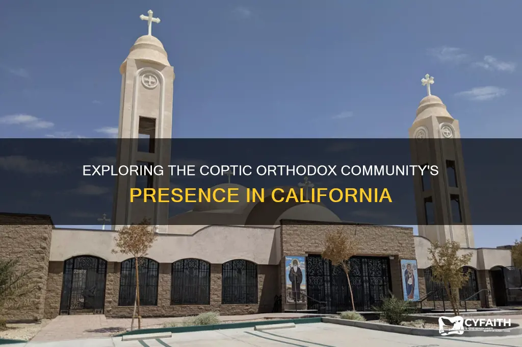 how many coptic orthodox are in california