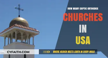 Exploring the Presence of Coptic Orthodox Churches Across the USA