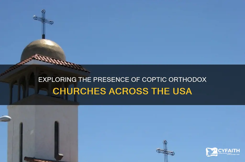 how many coptic orthodox churches in usa