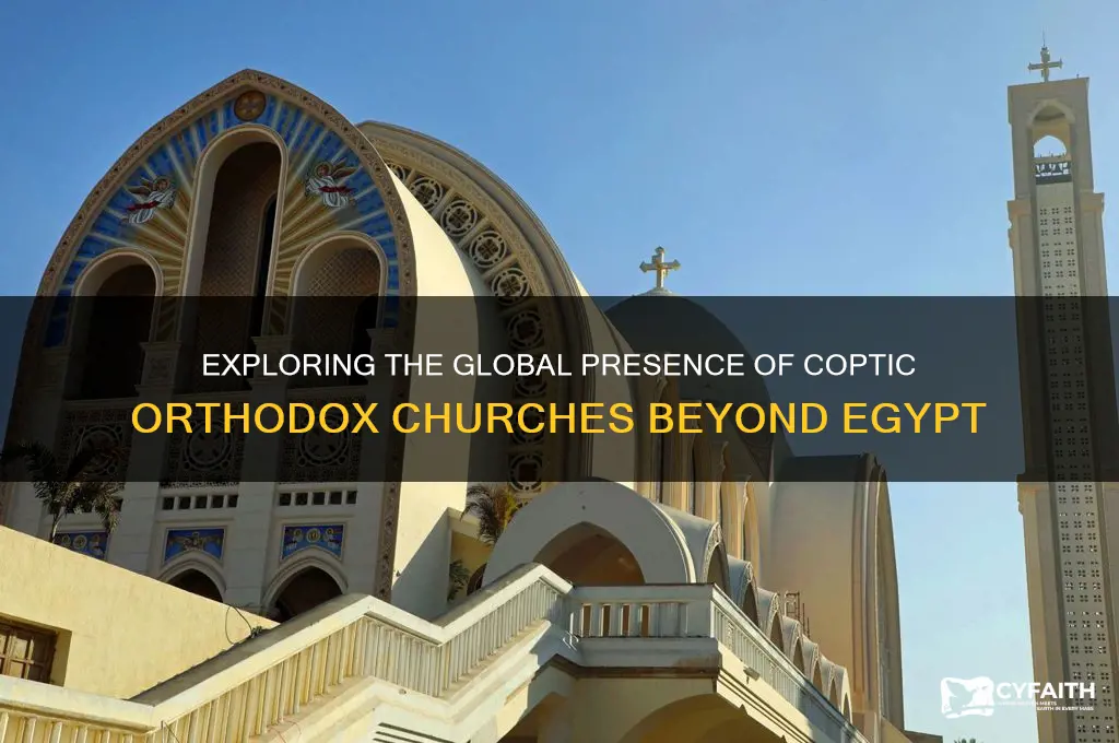 how many coptic orthodox churches outside egypt