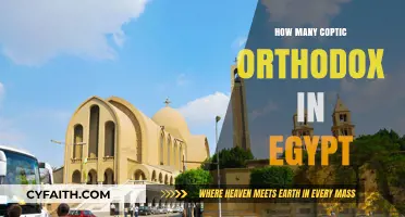 Coptic Orthodox Christians in Egypt: Population Insights and Trends