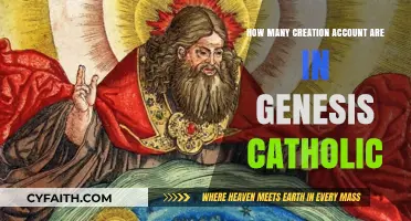 Genesis Creation Accounts: A Catholic Perspective