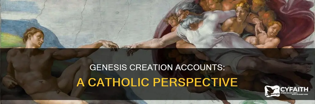 how many creation account are in genesis catholic