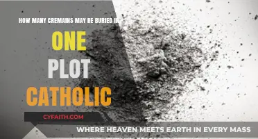 Catholic Burial Plot Guidelines: Cremains Capacity and Family Options