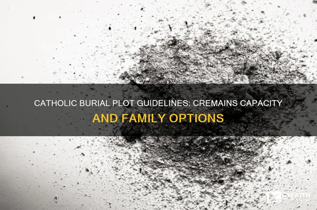 how many cremains may be buried in one plot catholic
