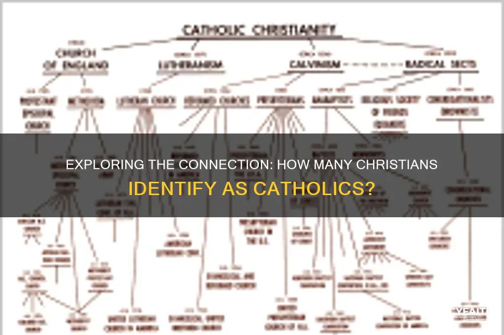 how many cristians are catholics