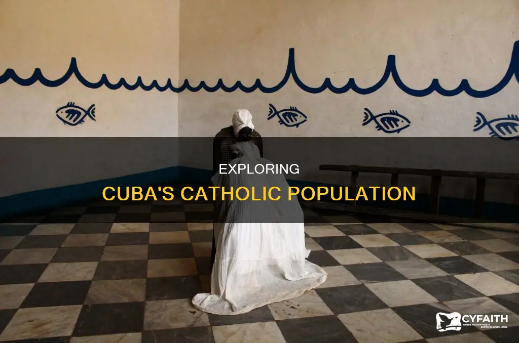 how many cubans are practicing catholics