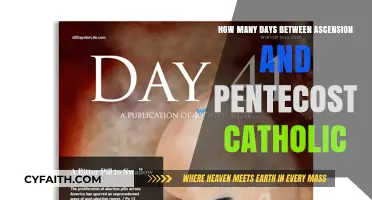 Ascension and Pentecost: The Catholic Calendar Explained