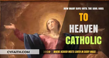 Catholic Beliefs: Understanding the Soul's Journey to Heaven Timeline