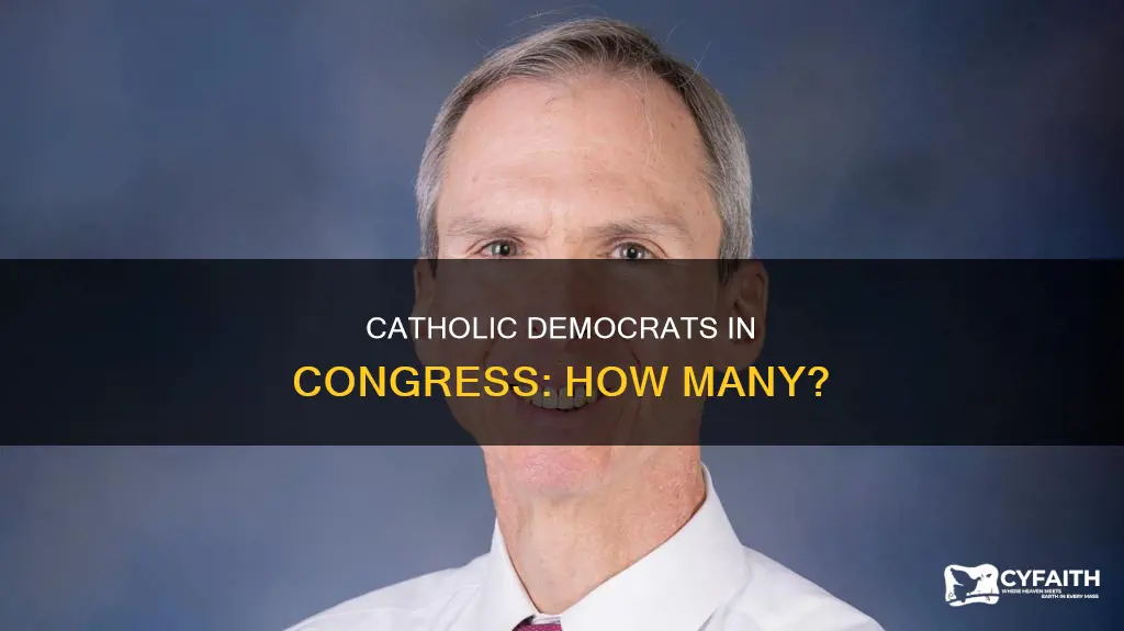 how many democrats congressmen are catholic