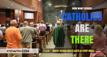 Devout Catholics: A Shrinking Number?