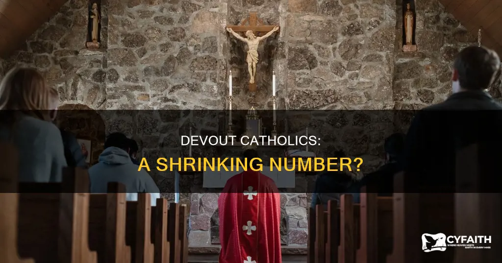 how many devout catholics are there