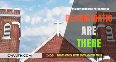 Exploring the Diversity of Presbyterian Denominations Worldwide
