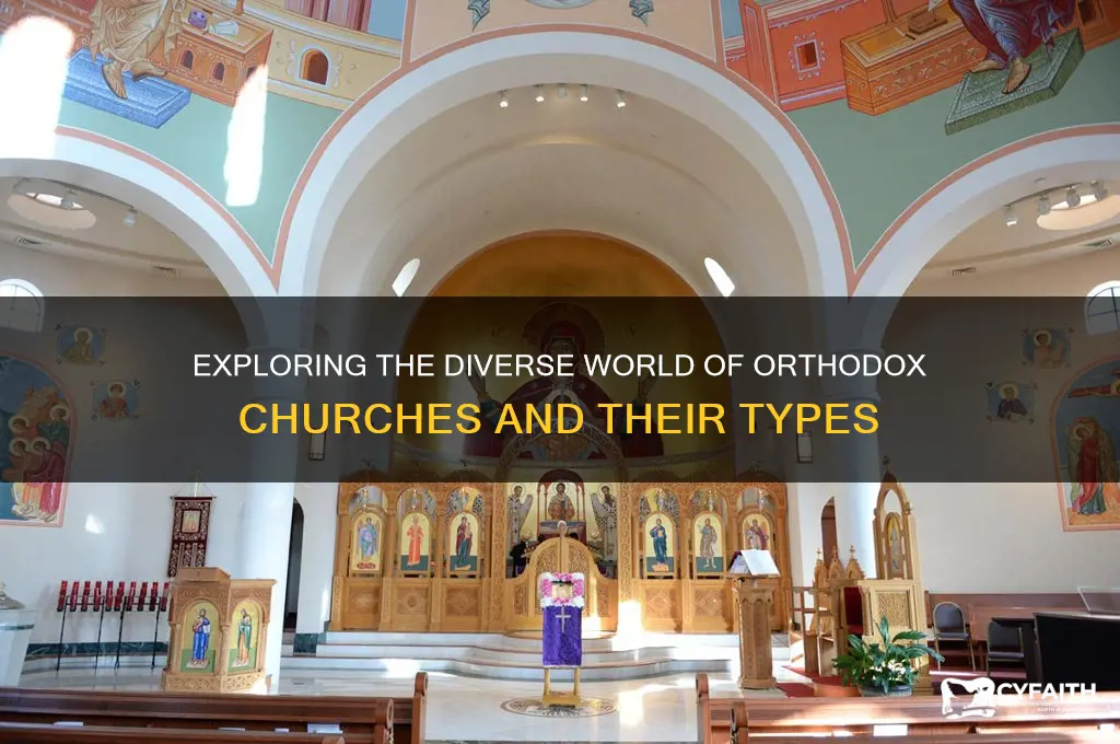 how many different types of orthodox churches are there