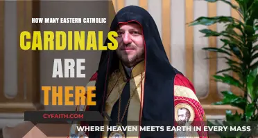 Eastern Catholic Cardinals: A Small but Mighty Group