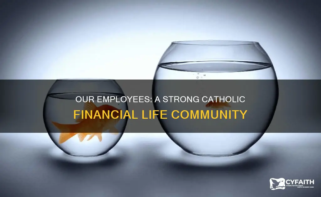 how many employees does catholic financial life