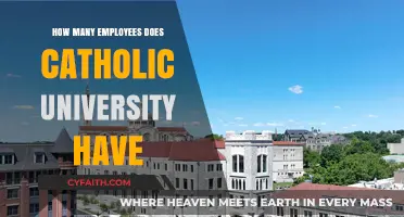 Staff Strength at Catholic University: How Many Employees?