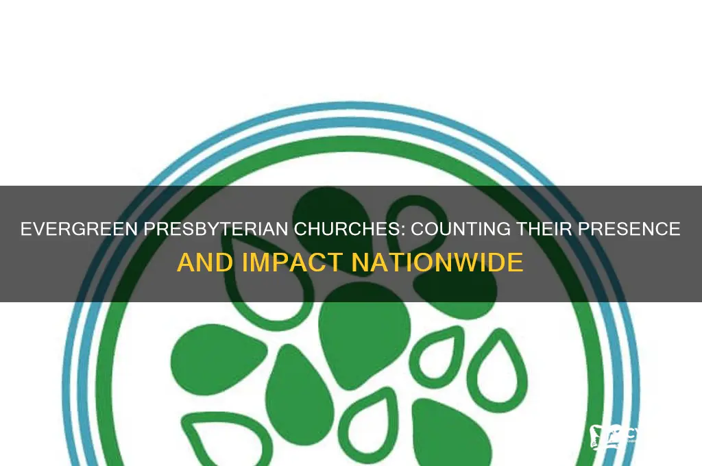 how many evergreen presbyterian