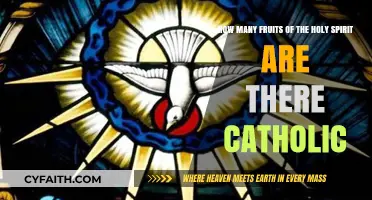 Exploring the Catholic Fruits of the Holy Spirit: A Complete Guide