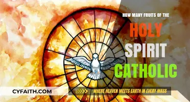 The Fruits of the Holy Spirit: A Catholic Guide