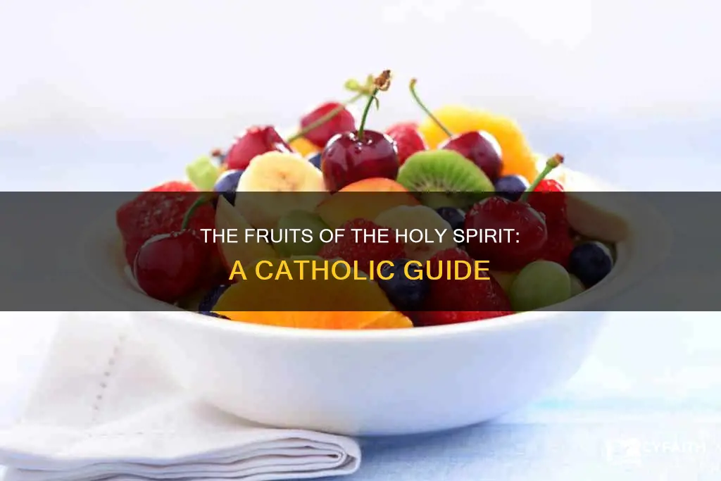 how many fruits of the holy spirit catholic