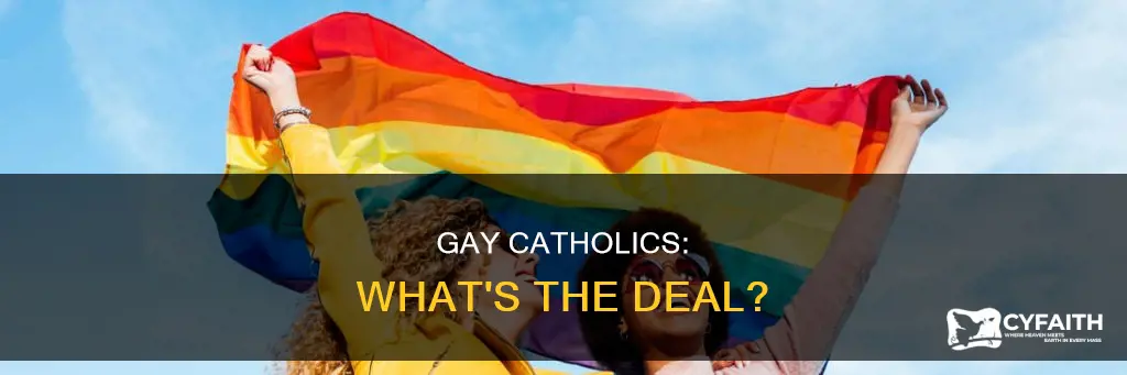 how many gay people are catholic