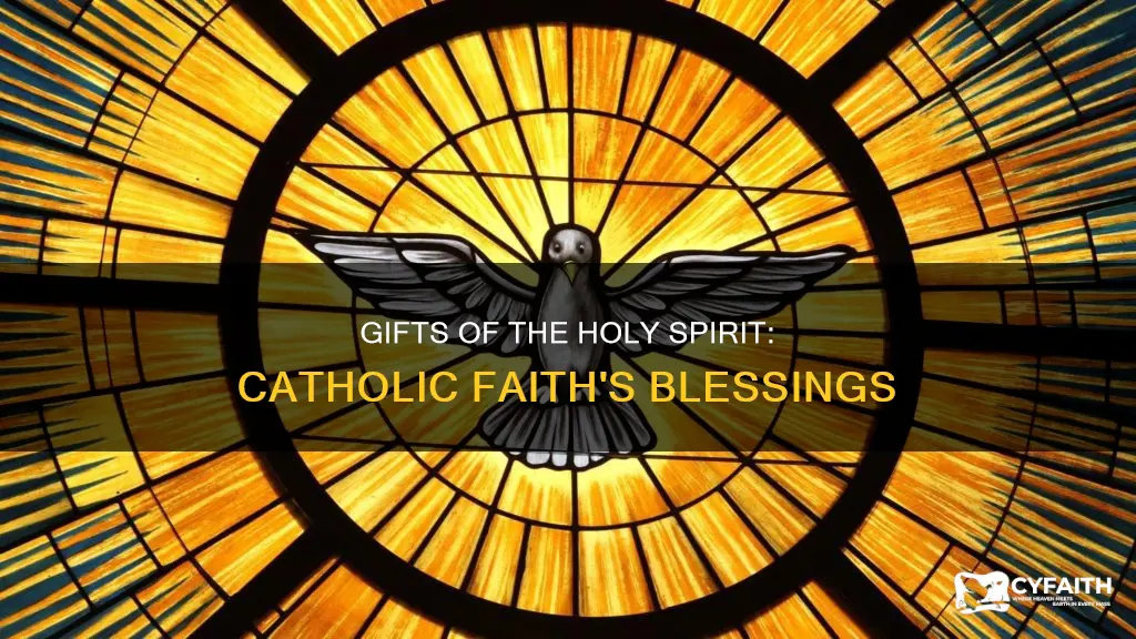 how many gifts of the holy spirit catholic