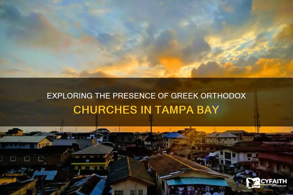 how many greek orthodox church tampa bay area