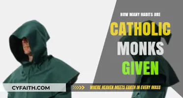 Monastic Habits: How Many Vows Do Monks Take?