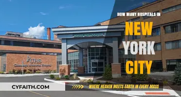 Exploring NYC's Healthcare: How Many Hospitals Serve New York City?