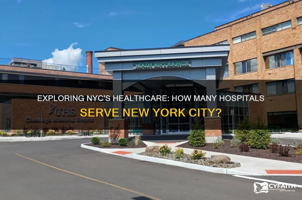 how many hospitals in new york city