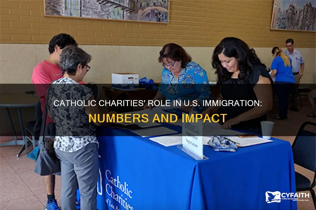 how many immigrabts does catholic charities bring to the us