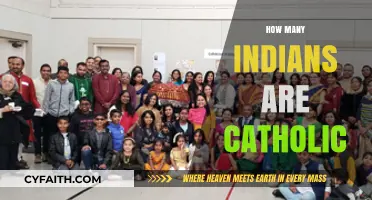 Exploring the Size and Influence of India's Catholic Community
