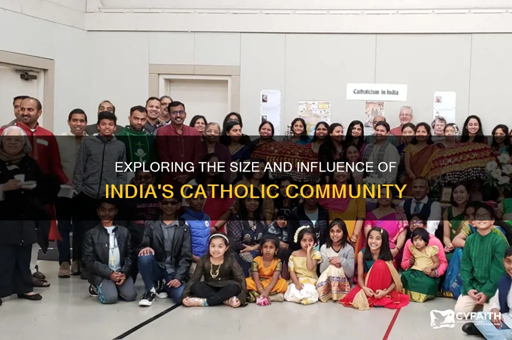 how many indians are catholic