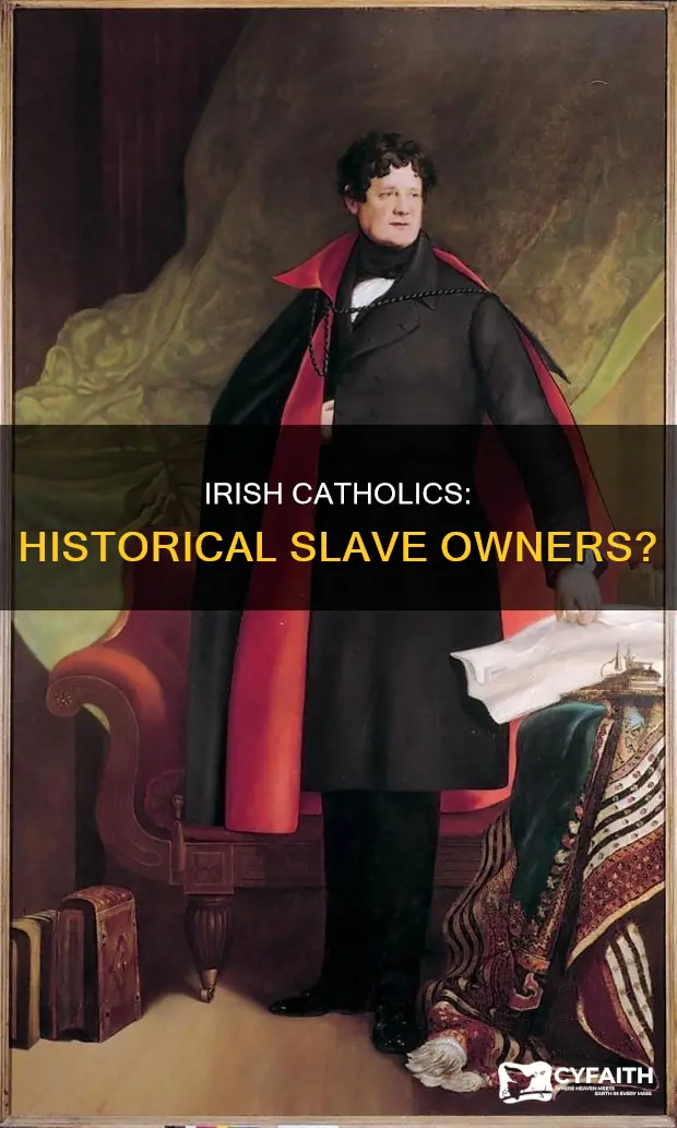 how many irish catholics owned slaves
