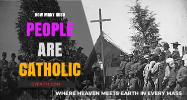 Irish Catholics: A Comprehensive Population Overview