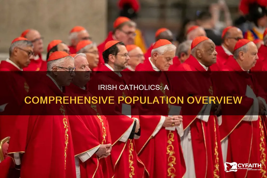 how many irish people are catholic