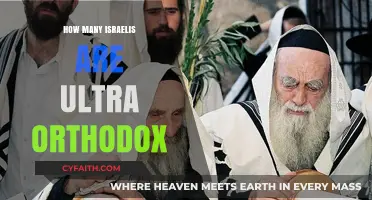 Understanding Israel's Ultra-Orthodox Population: Size, Growth, and Impact