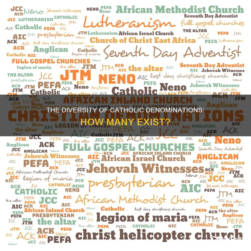 how many kinds of catholic are there